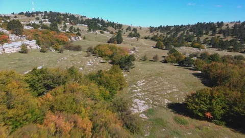 Flying over bright autumn trees and bushes on the hill on sunny day Stock-Footage 104107124