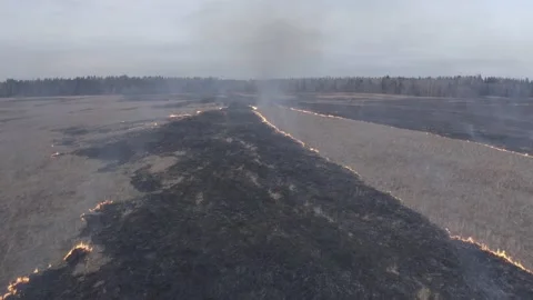 Flying over a burning field Stock Footage 148095772