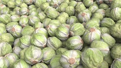 Flying over the cabbages pile - 3d render looped. Stock Footage 167536129