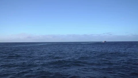 Flying over the calm ocean Stock Footage 86156569