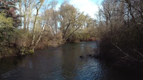 Flying over a calm river in the winter | Aerial Drone Shot Stock Footage 168450155