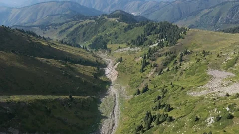 Flying over a canyon with spruce trees on the slopes Video stock 248570231