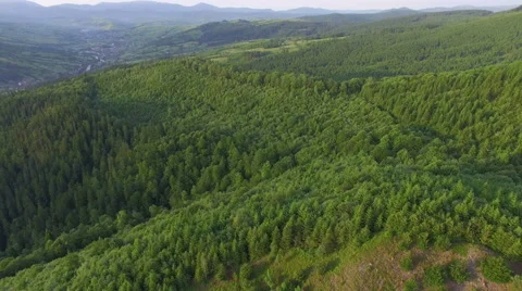 Flying over the Carpathian mountains Stock Footage 64776038