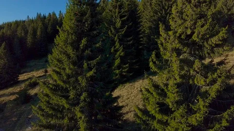 Flying over the Carpathian Mountains Stock Footage 100412806