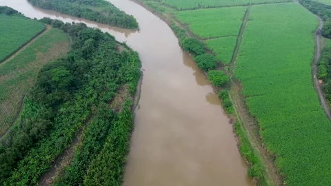 Flying Over Cauca River and Crops Stock Footage 310701547
