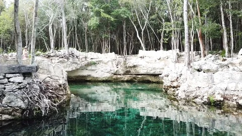 Flying over Cenotes in Mexico Stock Footage