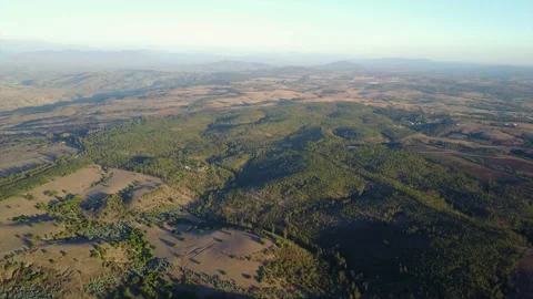 Flying over central Chile forests during sunset an amazing view above the den 動画素材 146809135