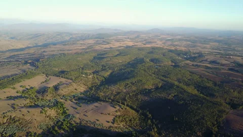 Flying over central Chile forests during sunset an amazing view above the den 스톡 동영상 153886951