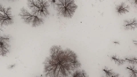 Flying over city park Stock Footage 146545491