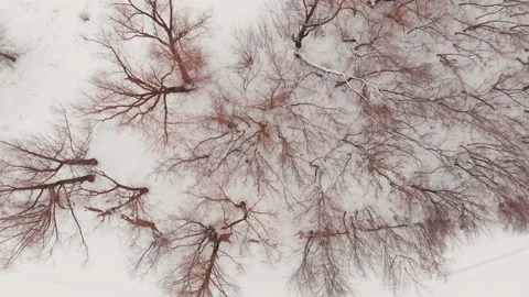 Flying over city park Stock Footage 146545751