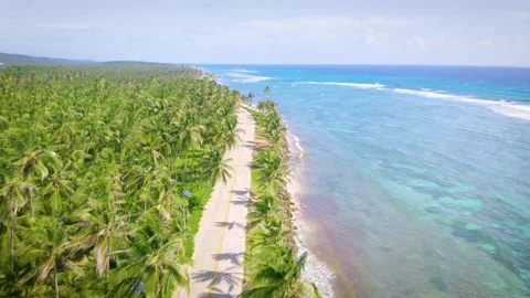 Flying Over Clear Blue Caribbean Sea with Palm Trees and Road along Coastline Stock Footage 148878643