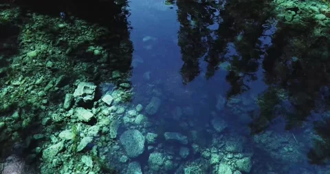 A Flying over clear blue water in forest low Stock Footage 155509728
