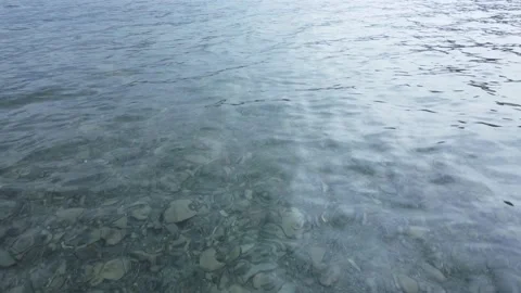 Flying over clear water. Transparent lake Stock Footage 143104290