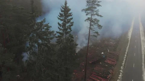 Flying over clearing where deforestation is taking place Stock Footage 147849531