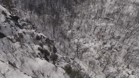 Flying over cliff and winter forest Canada Quebec Nature Vídeo Stock 227275834