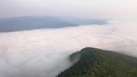 Flying over clouds and boreal forest in North America. Stock Footage 202119177