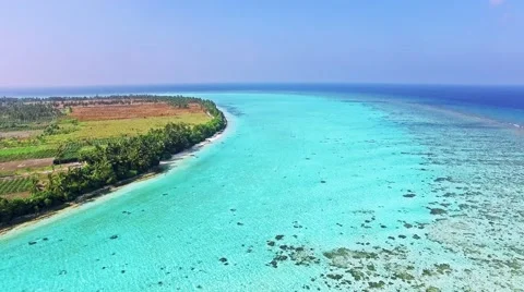 Flying over the coconut palms on the tropical island. Stock Footage 62066683