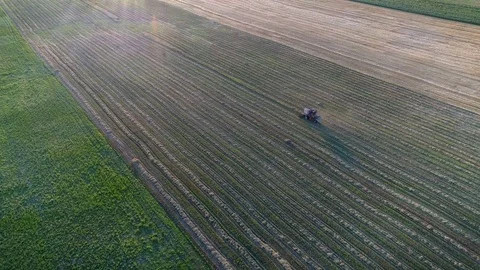 Flying over combine harvester working on the large wheat field Video stock 78094008