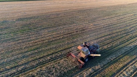 Flying over combine harvester working on the large wheat field Stock-Footage 78590907