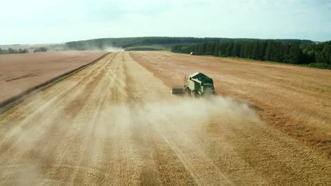 Flying over combines collecting grain in the field during the grain harvest Stock Footage 136445405