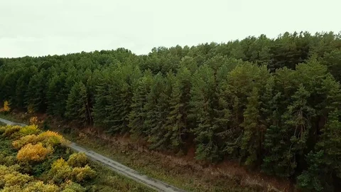 Flying over the coniferous forest and the road Stock Footage 104922850