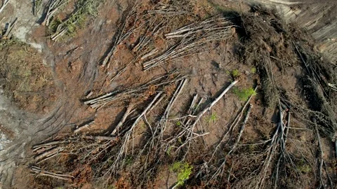 Flying over a construction site Stock Footage 206936602