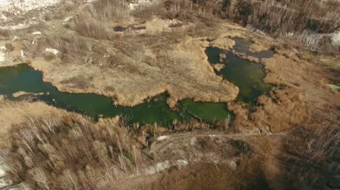 Flying over the contaminated marsh Stock Footage 64066772