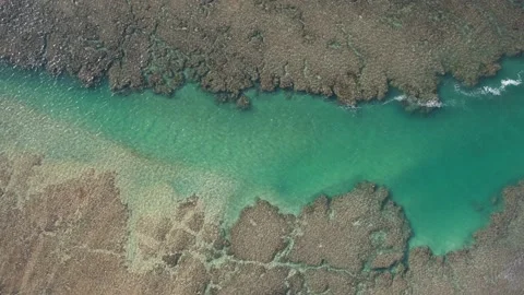 Flying over coral reef Video stock 165940902