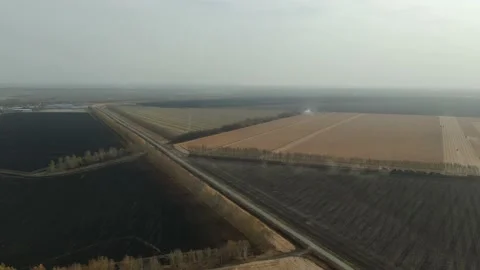 Flying Over The Corn Field. Aerial Drone Shot Stock Footage 158232104