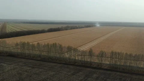 Flying Over The Corn Field. Aerial Drone Shot Stock Footage 158235966