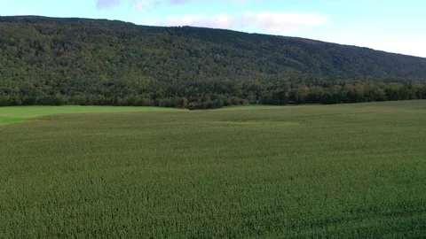 Flying over a corn field in western Newfoundland Stock Footage 162338457