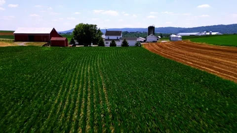 Flying over Corn towards a Scenic Pennsylvania Farm Stock Footage 292681404