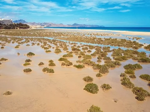 Flying over Costa Calma beach, Fuerteventura, Canary Island Stock Footage 75004251