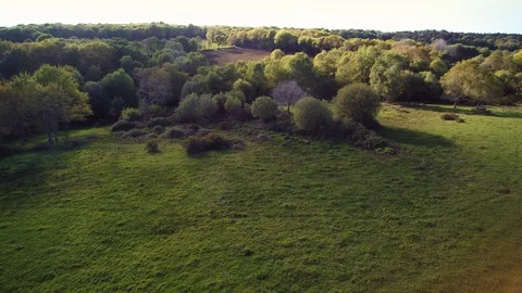 Flying over countryside, 4K sequence 1 of 2 - hovering a green field. Stock Footage 108549578