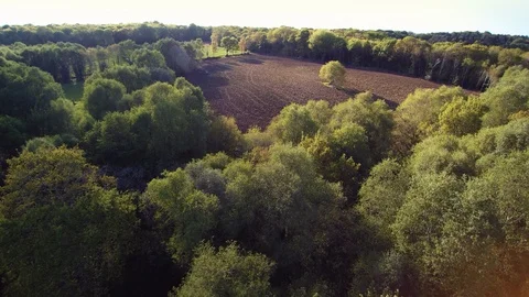 Flying over countryside, 4K sequence 2 of 2 - flying over woods. Stock Footage 108549642