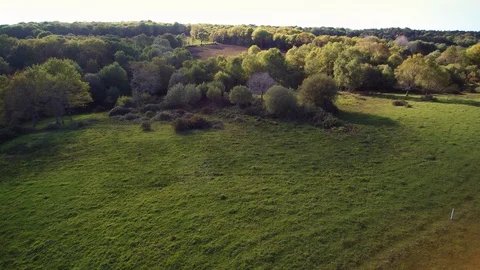 Flying over countryside, faster version - hovering a green field and woods. Stock Footage 108549810