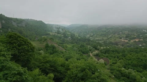 Flying over crowns of trees in mountains covered with dense forest, aerial view Stock Footage 274646466