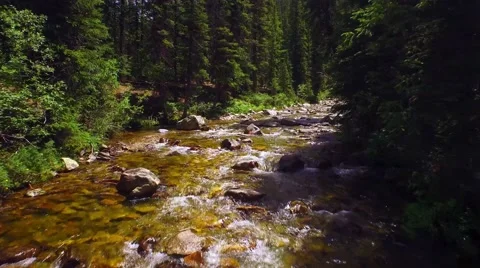 Flying over a crystal clear river. Stock Footage 53252563