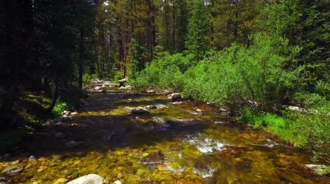 Flying over a crystal clear river. Stock Footage 53252567