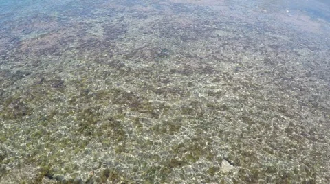 Flying over crystal clear water - Aerial Flight Stock Footage 50428095