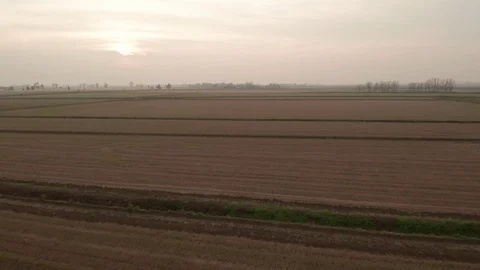 Flying over the cultivated fields at sunset Video stock 99350853