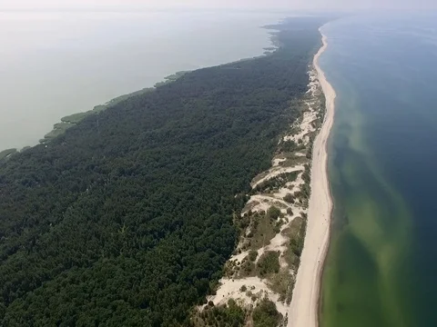 Flying Over Curonian Spit Video stock 84967830