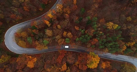 Flying over curvy road in forest 4K Stock Footage 82198458