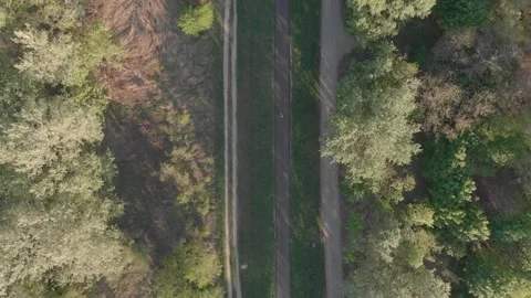 Flying over a cycle road on the riverside in the sunset Stock Footage 232486894
