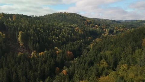 Flying Over Czech Forest in Fall – Golden Nature in 4K Stock Footage 318981339