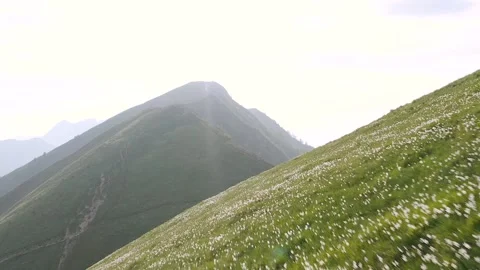 Flying Over Daffodil Flower Field On Top of Golica Hill, Gorgeous Landscape. Stock Footage 250416486