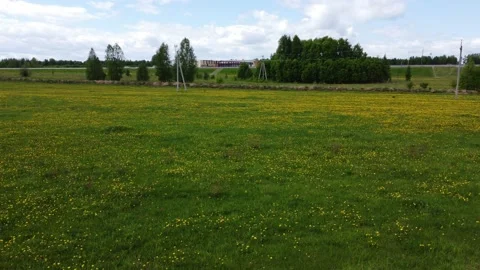 Flying over a dandelion field Vídeos de archivo 155471886