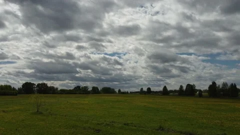 Flying over a dandelion field Vídeo Stock 155471990