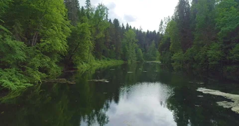 Flying over dark water in a forest lake Stock Footage 155766087