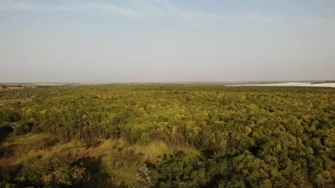 Flying over a deciduous forest by drone Stockbeeldmateriaal 138554952